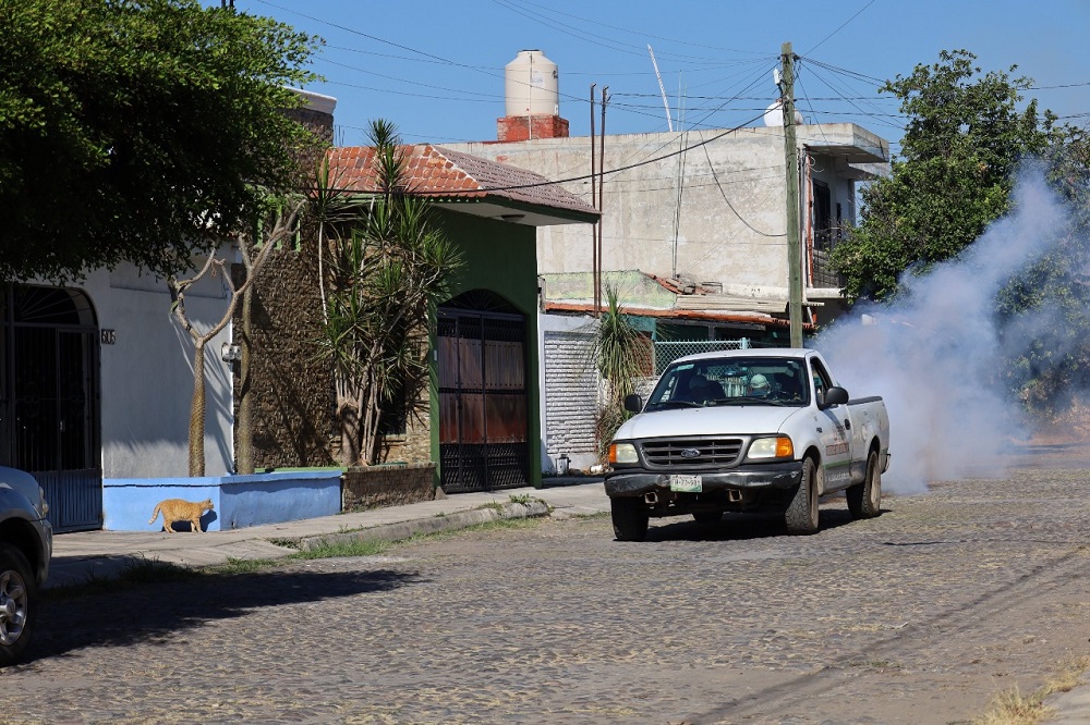 Intensifica Salud Colima fumigación en municipios de riesgo a dengue