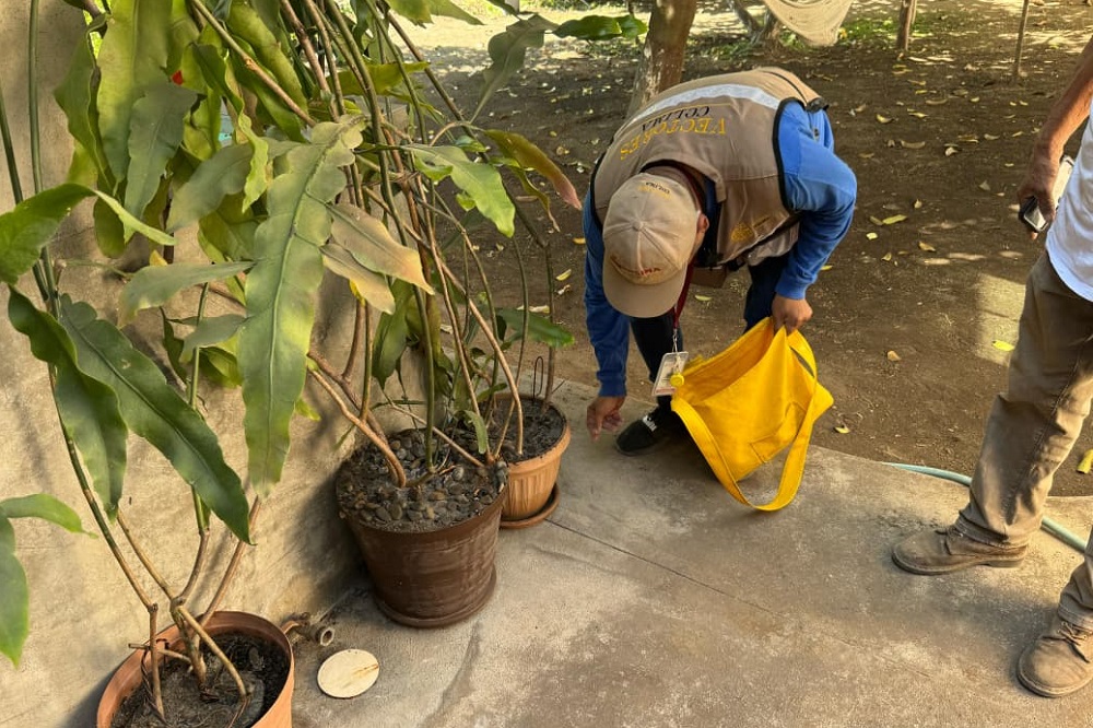 Salud Colima intensifica acciones contra el dengue en municipios de riesgo