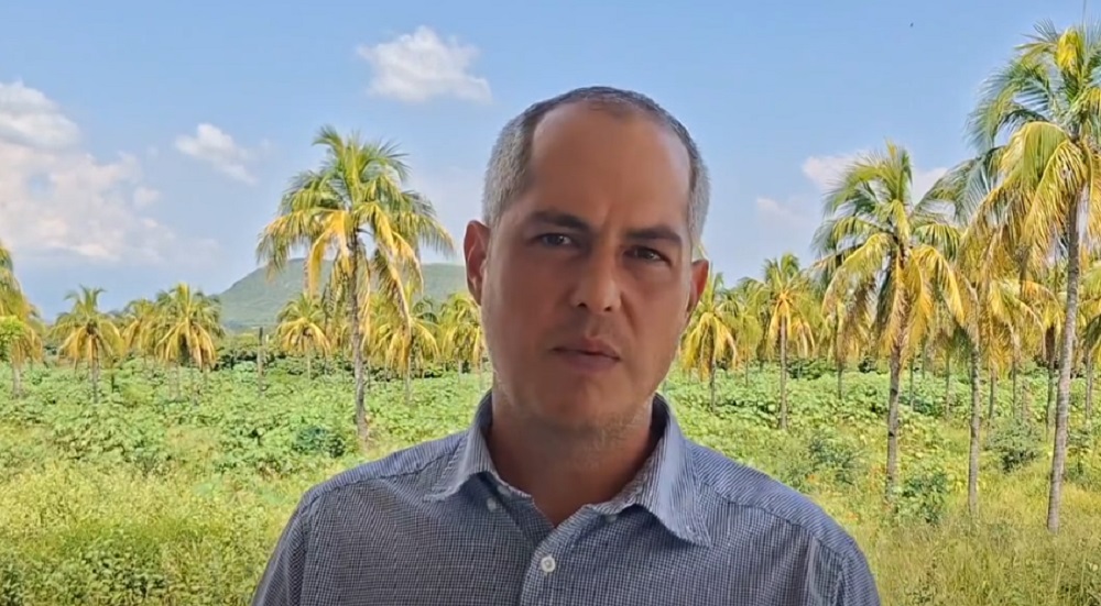 Aguacateros de Colima celebran liberación de zona productora y buscan enfrentar crisis de precios