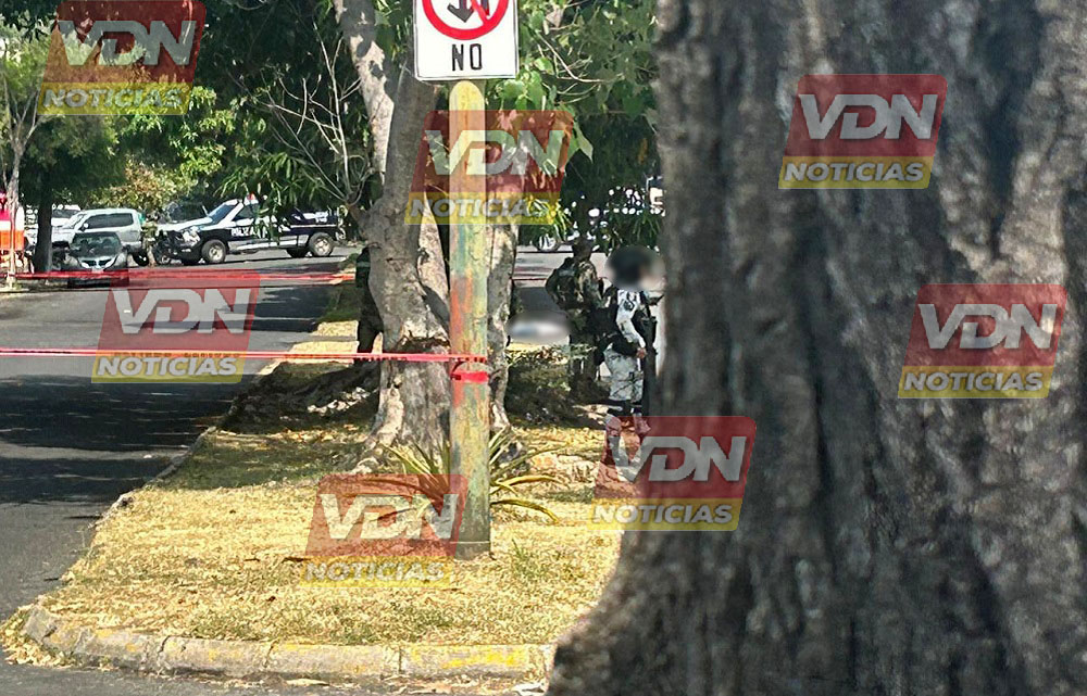 Ejecutan a un hombre en la avenida Akollimán en la colonia Los Almendros, en VdeA