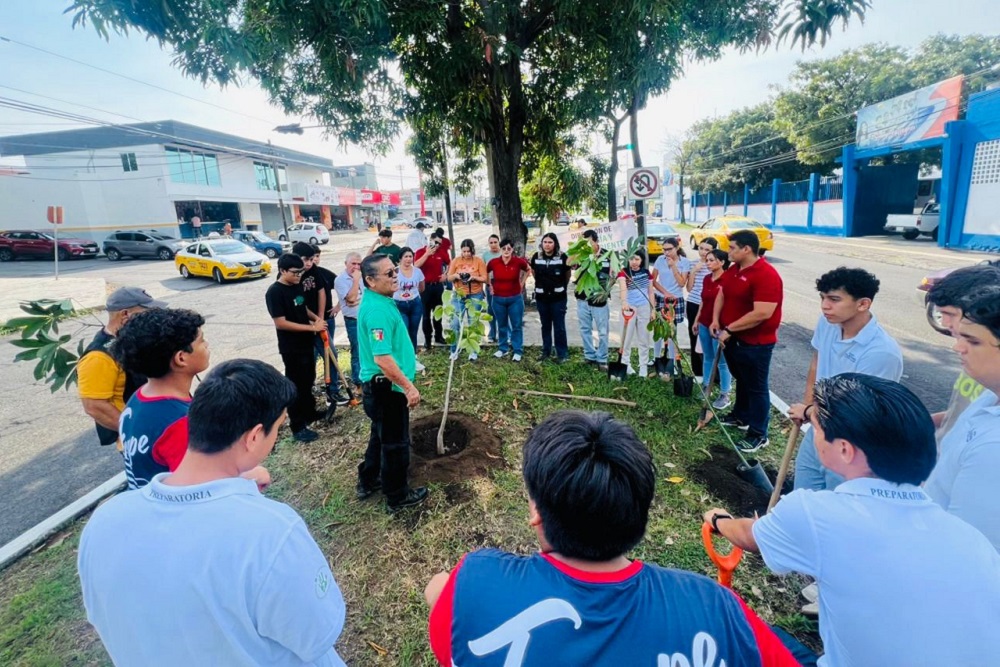 Gobierno de Riult Rivera convierte el camellón de la Av. 20 de Noviembre en un “Camellón Polinizador”