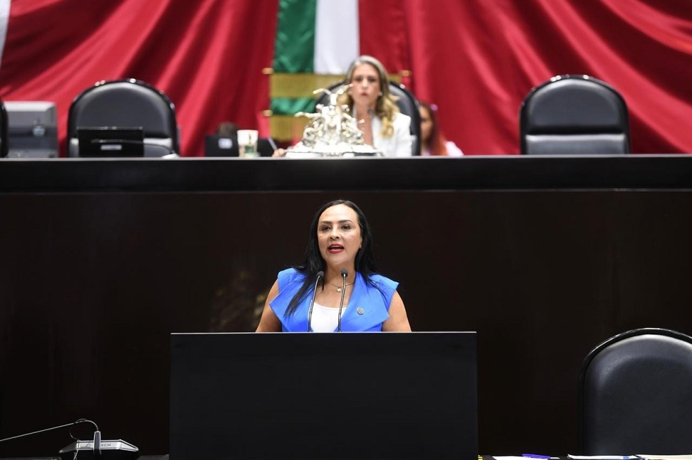 Morena busca institucionalizar la corrupción en las aduanas: Julia Jiménez
