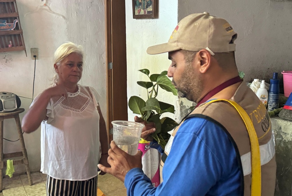 Colima se mantiene sin defunciones por dengue: Secretaría de Salud