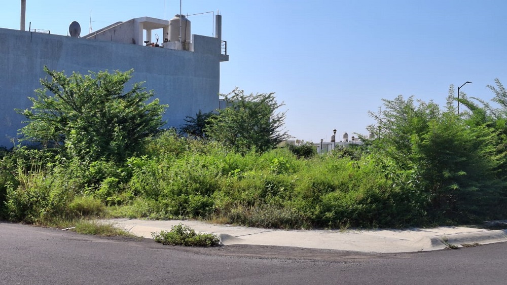 Vecinos del fraccionamiento San Jorge exigen municipalización ante incremento de inseguridad y maleza
