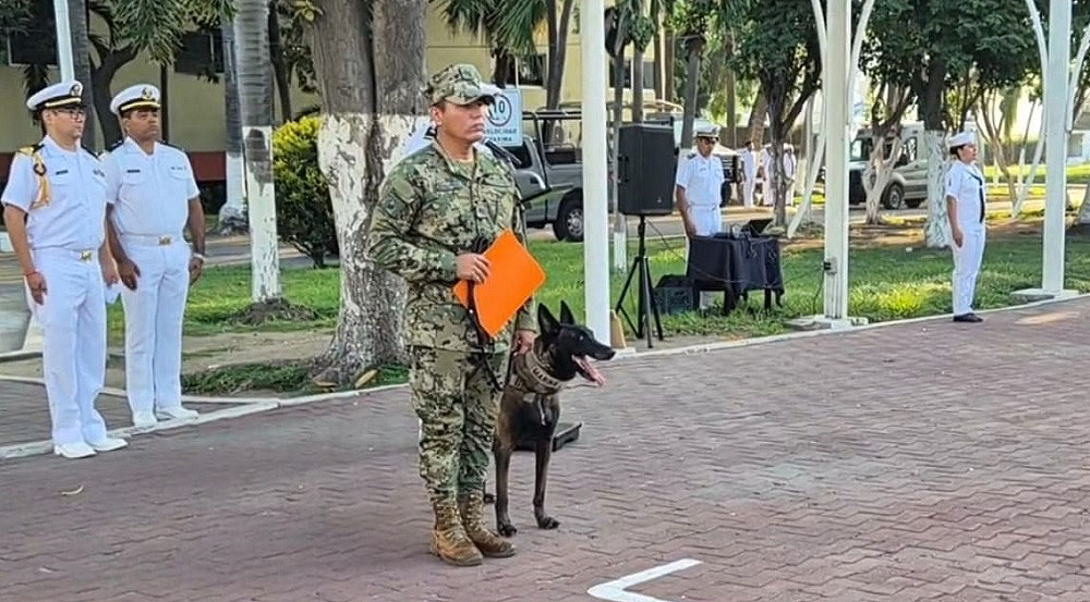 En su retiro, rinden homenaje en Manzanillo al elemento canino “Hans” por su destacada labor en la Armada de México