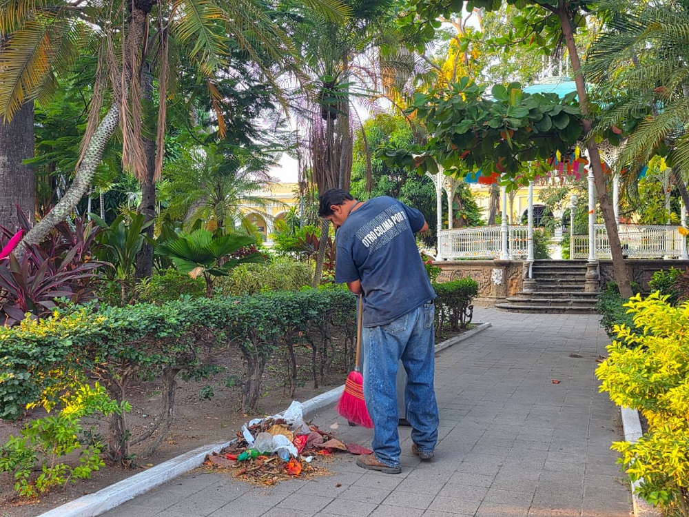 Continua Gobierno de Riult Rivera con los trabajos de poda y embellecimiento en Parques y Jardines de la capital