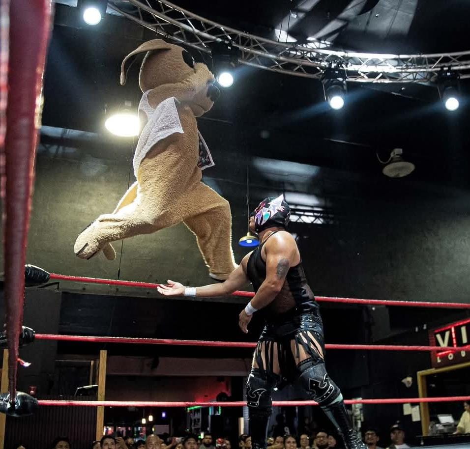 Llegan Místico, Wisin El Dog y estrellas del CMLL al Palenque de la Feria de Todos los Santos Colima 2025