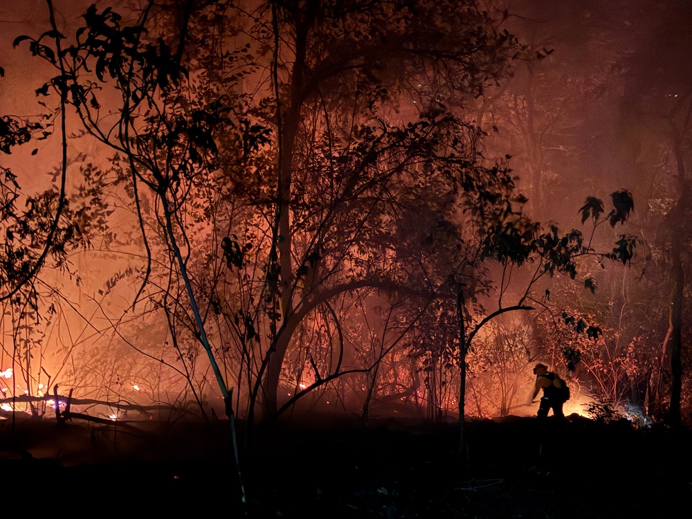 Avanza con resultados positivos la quema prescrita en Quesería; continuará hasta el 27 de febrero