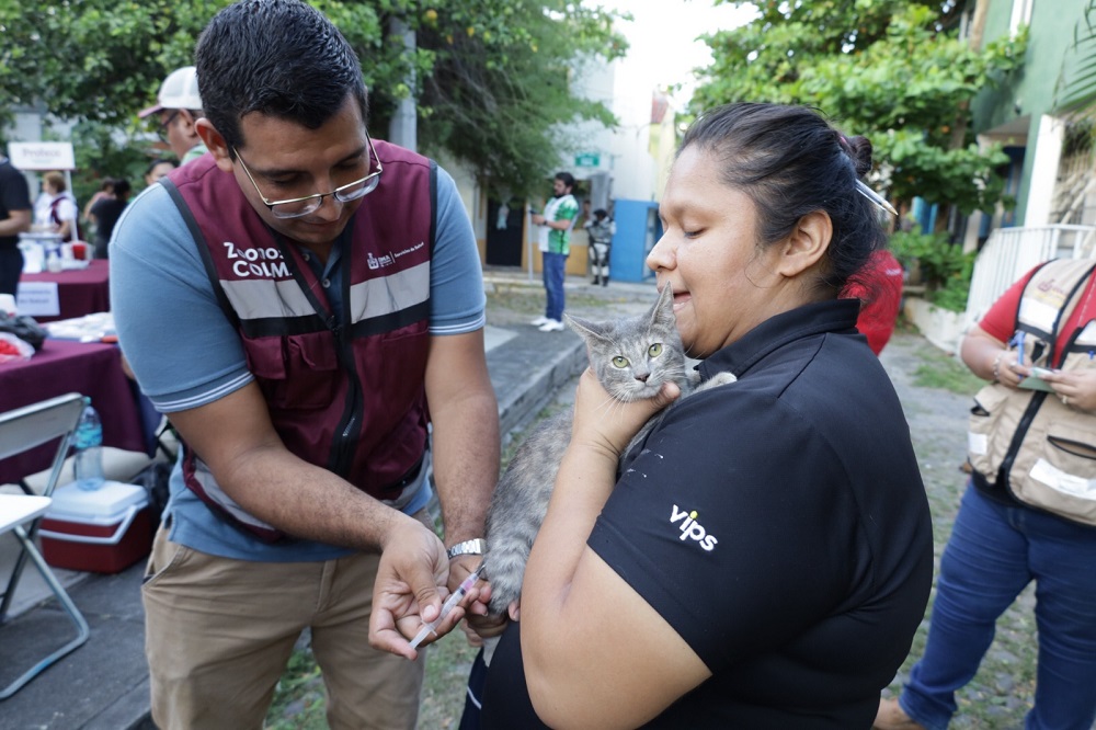 Salud Colima: del 24 al 28 de marzo se instalan 126 puntos de vacunación antirrábica en todo el estado; la vacuna es gratuita y segura