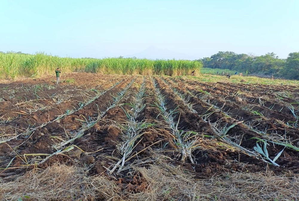 A 20 días de que venza el plazo, el Gobierno de México reitera el llamado a productores del campo en Colima para que regularicen sus concesiones de agua