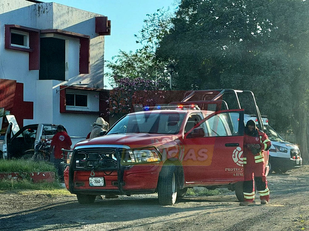 En Armería, enjambre de abejas ataca a 14 personas, ninguna grave