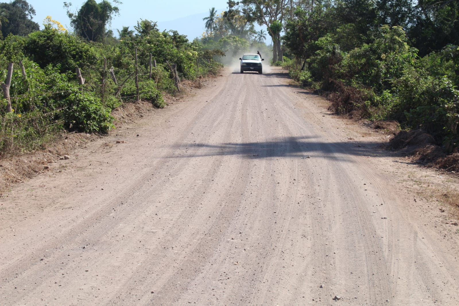 Administración de Indira Vizcaíno rehabilita caminos sacacosechas en comunidades rurales de Armería
