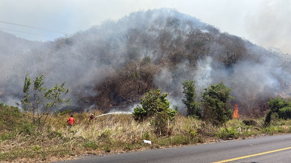 Imades Colima pide prevenir incendios forestales en estiaje; 90 por ciento son provocados por actividad humana