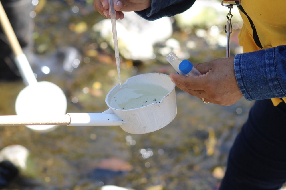 Gracias a labores de prevención, Colima acumula más de 20 años sin paludismo: Salud