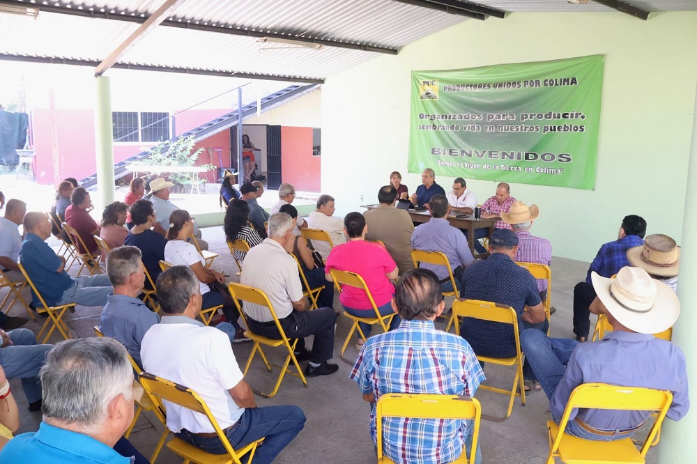 Sedeco y sector productivo impulsan el desarrollo en el estado de Colima