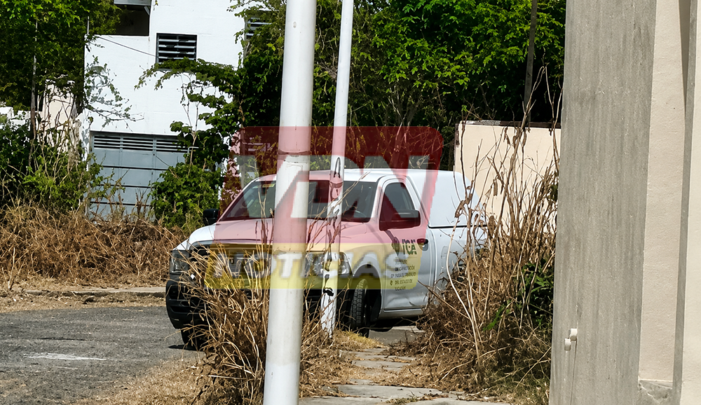 En avanzado estado de descomposición localizan cadáver en la colonia Tulipanes, en VdeA