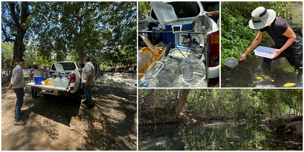 Conagua y la Comisión de Cuenca del Río Ayuquila-Armería impulsan acciones para el monitoreo de ríos y arroyos