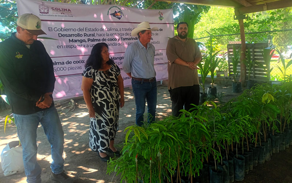 Gobierno de Indira Vizcaíno entrega miles de plantas de coco, mango y tamarindo; es opción de negocio para familias