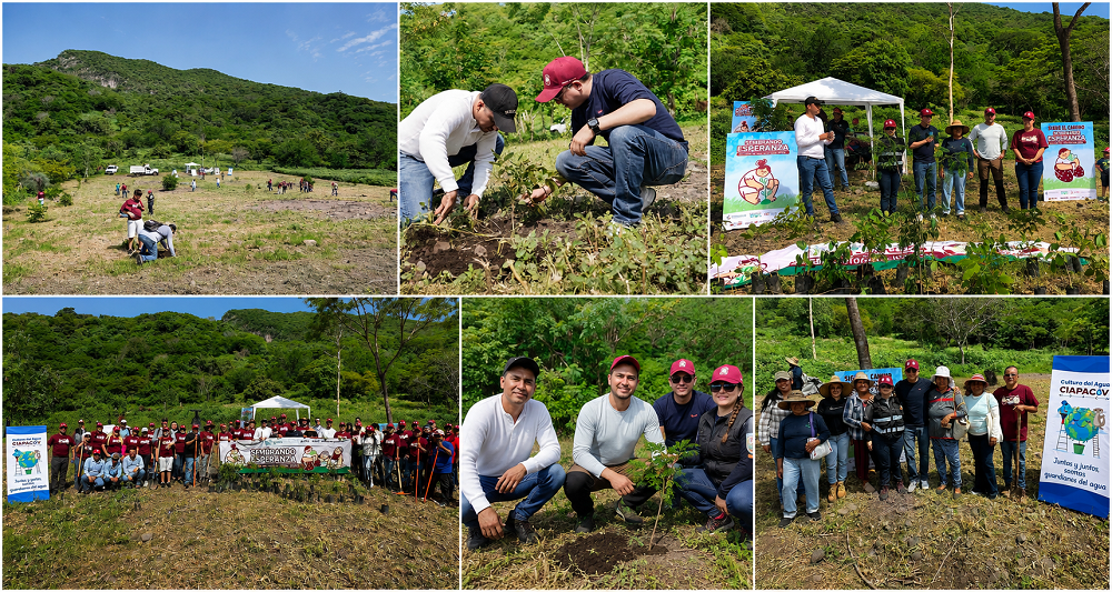 CIAPACOV realiza con éxito la 3er Jornada de Reforestación “Sembrando Esperanza” 2026 en Zacualpan, Comala